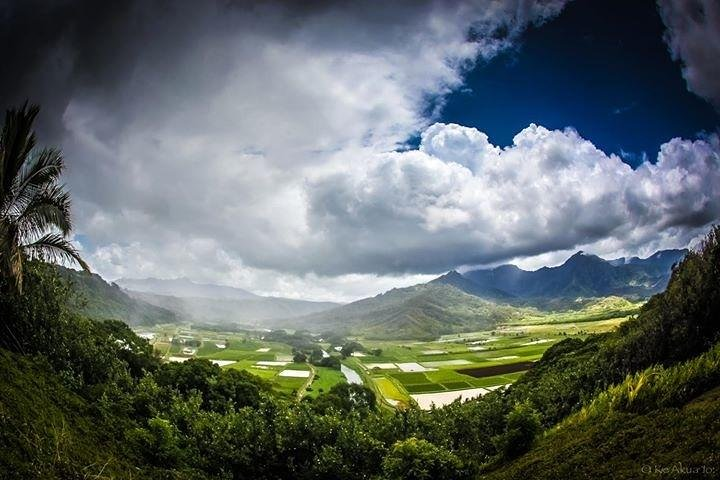 Eco-adventure friendly Aloha Island Tour - Photo 1 of 9